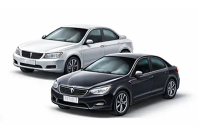 Ekspreslevering Biler i Zwijnaarde Belgien